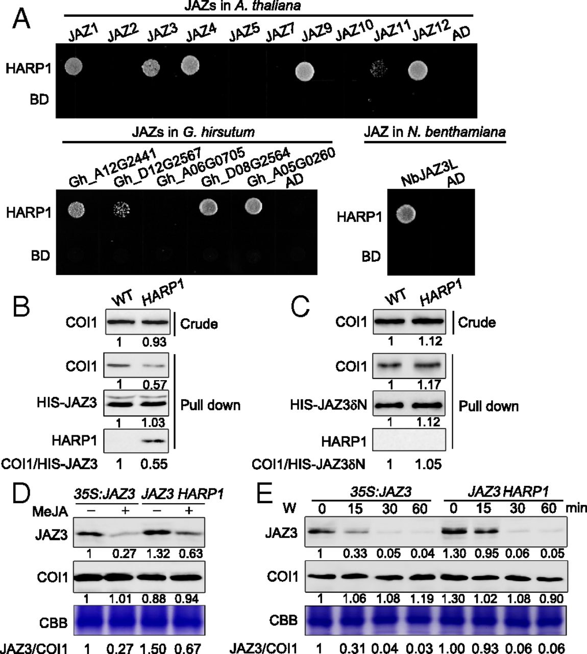 Figure3